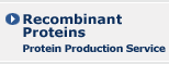 Recombinant Proteins Protein Production Service