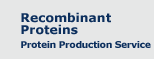 Recombinant Proteins Protein Production Service