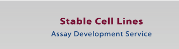 Stable Cell Lines Assay Development Service